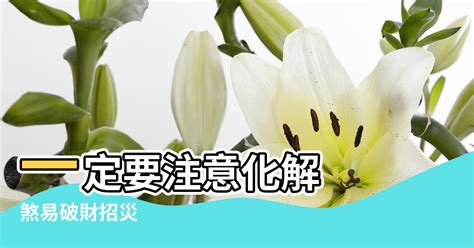 穿心煞|穿心煞